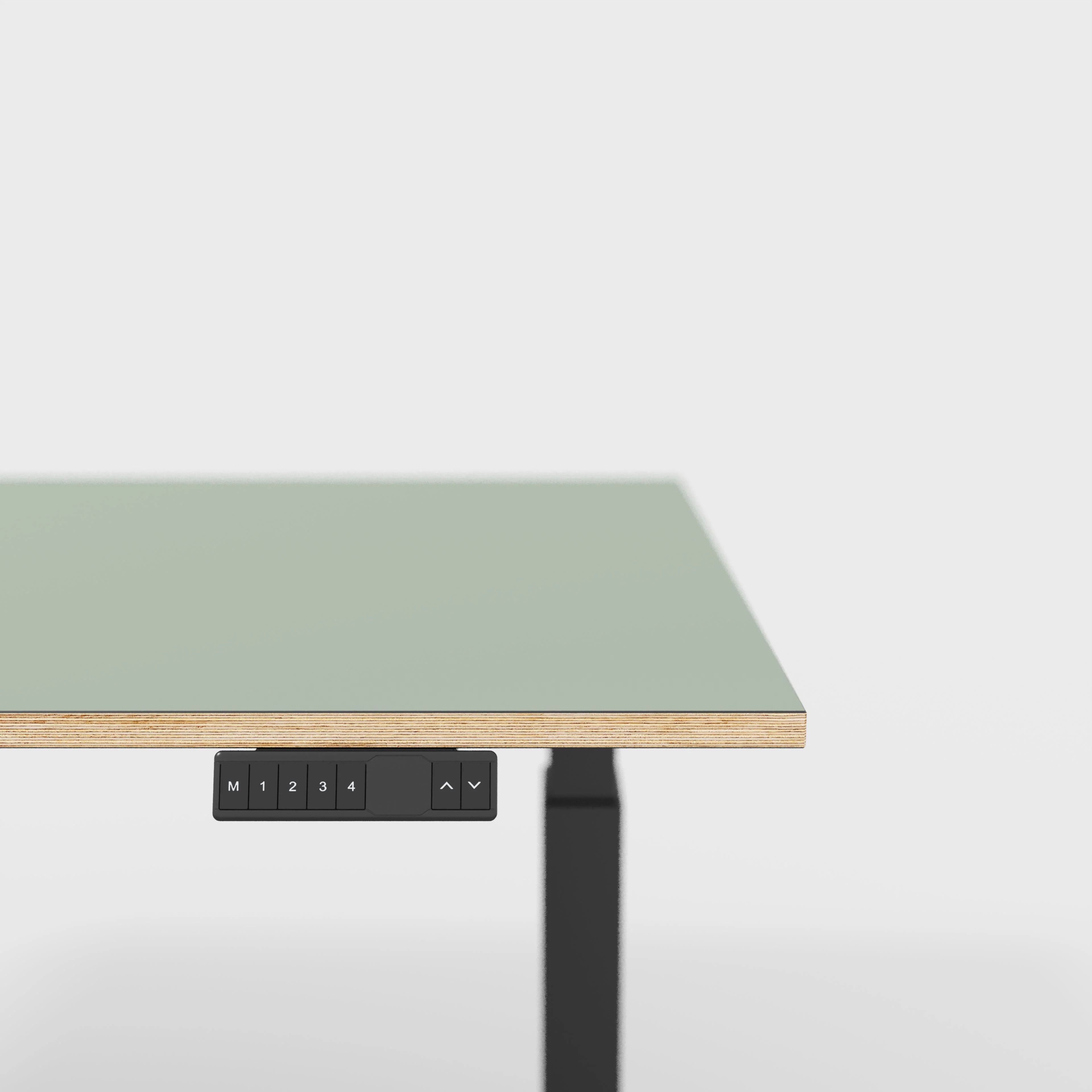 Plywood Sit Stand Desk with Black Frame - Formica Green Slate - 1200(w) x 800(d) - Image 4